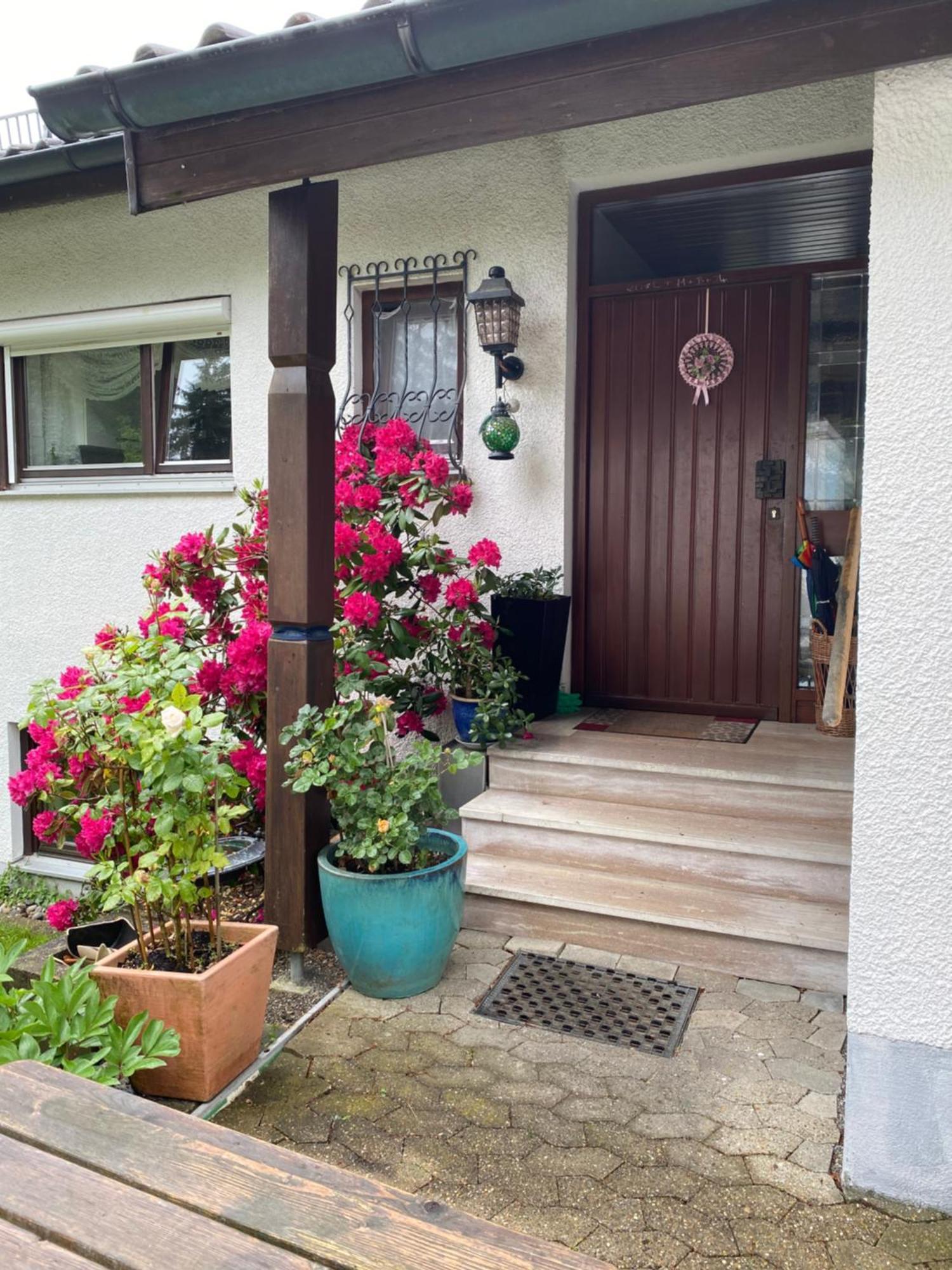 Ferienwohnung Panorama ジークマールシュツェル エクステリア 写真